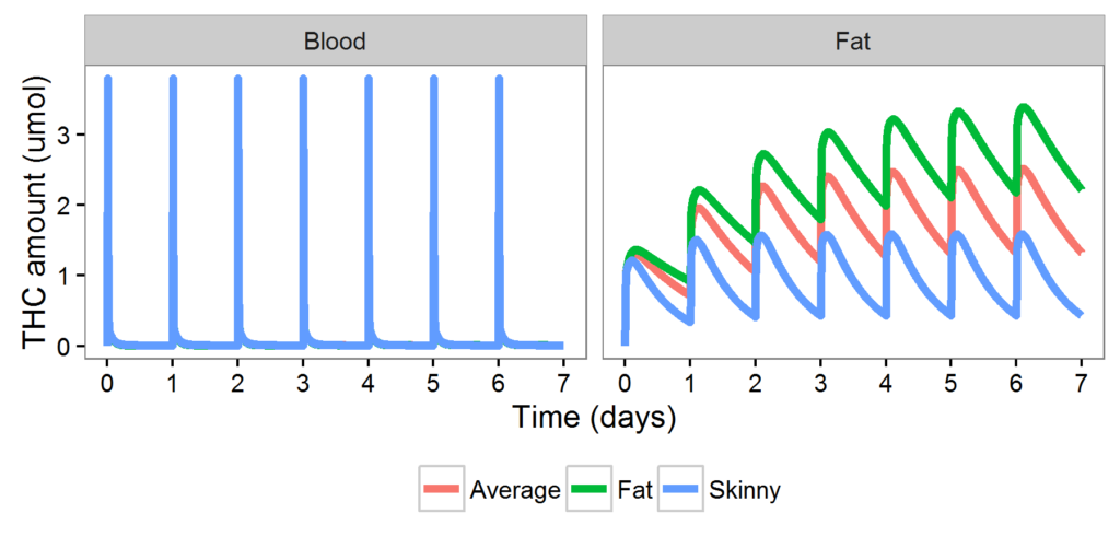 THC levels in blood and fat with daily cannabis use in people of different body fat percentages